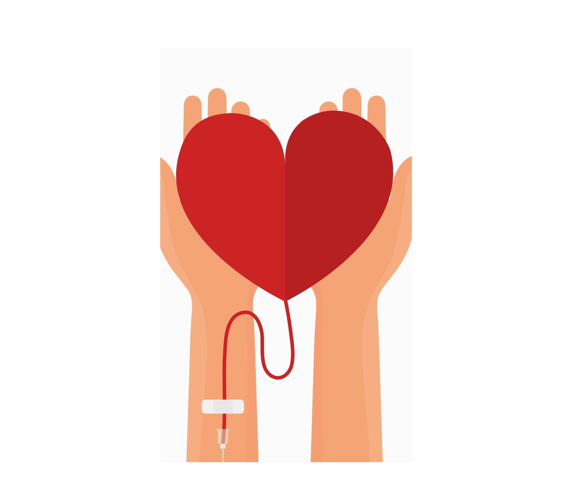 KoC Red Cross Blood Drive